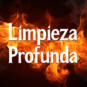 limpieza profunda